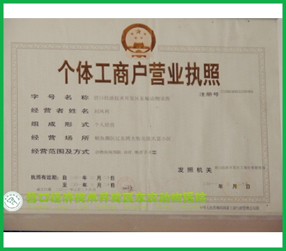 荣誉资质